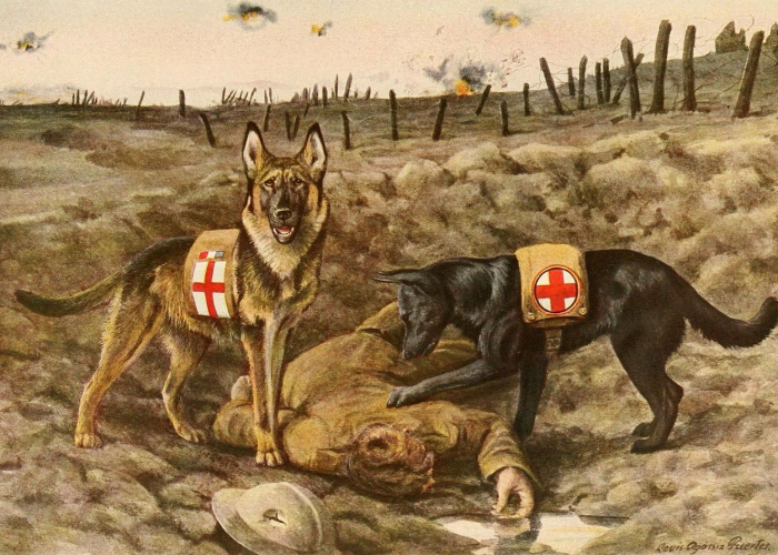 上海迪士尼停运了吗（上海迪士尼即刻起停止游客进入乐园和小镇—）