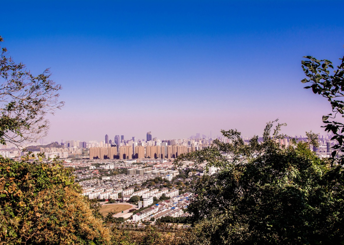 消费回暖！公募两大方式提前布局