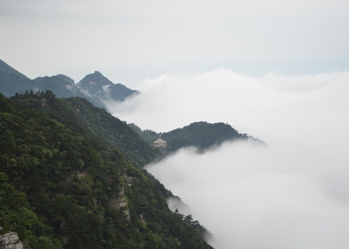 河南增5例本土无症状河南省新增30例本土无症状