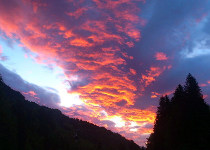 (2009中国大事记)，2009年大事记中国