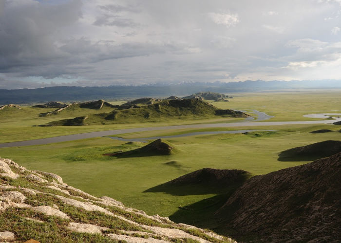 榆林疫情最新情况：榆林疫情最新新增病例