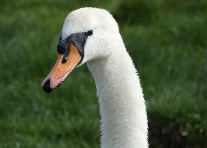 新疆新增本土3例新疆新增3本土确诊