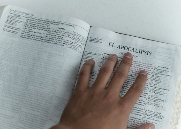 特朗普：和平委员会成员已承诺提供逾50亿美元资金