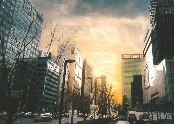 23例确诊背后的生命韧性与防控网络，微光成炬，如同黑夜中的应急灯