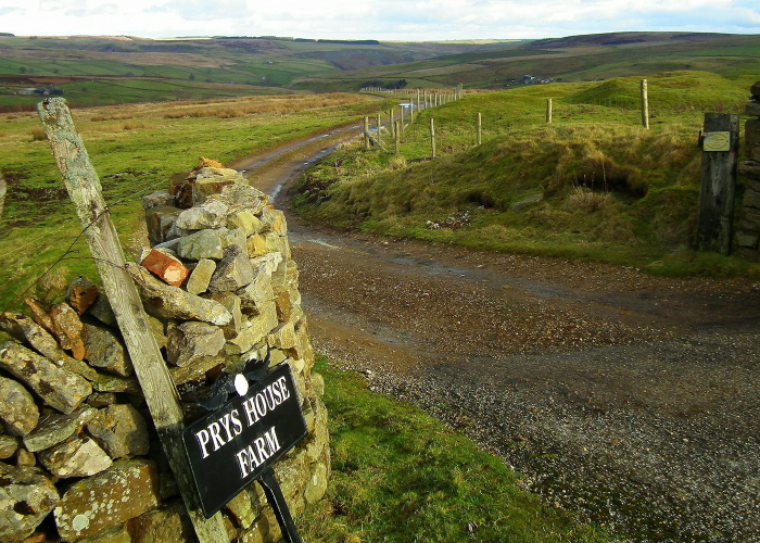 长春疑似病例小区(吉林长春市出现社区传播)