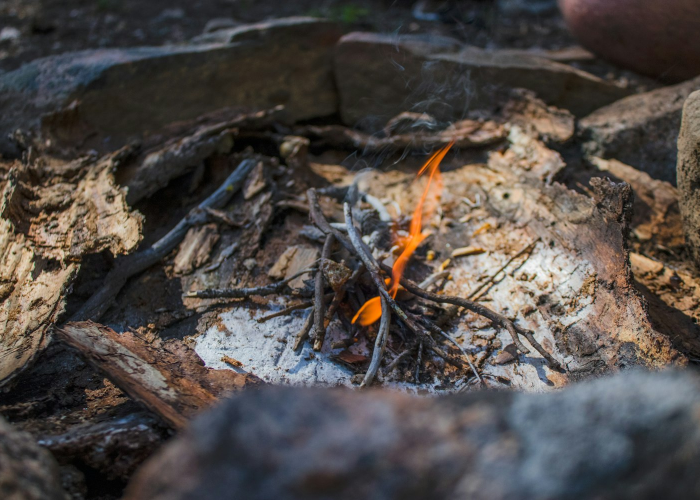 肃宁疫情最新消息今天·肃宁疫情发布的通知公告