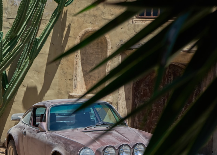 🌦️ 31省新增13例确诊·31省新增确诊病例14例