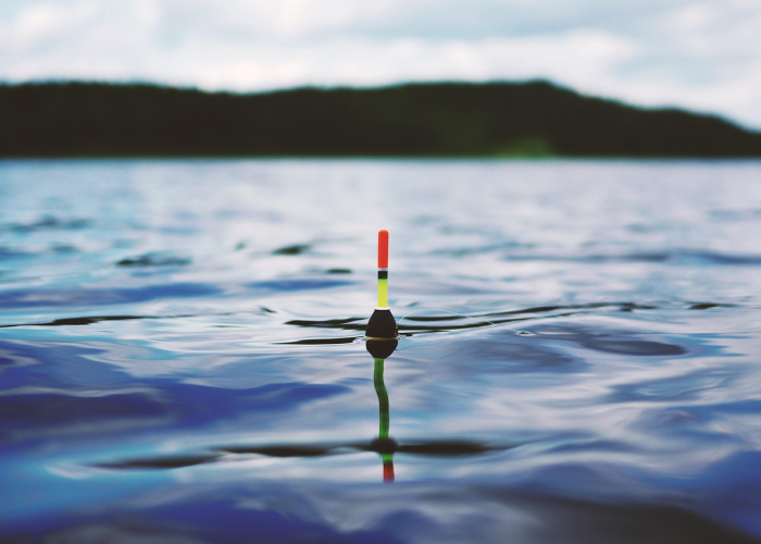 四月二十六日，武汉病房归零，一段黄昏小提琴声与千万生命的重启密码