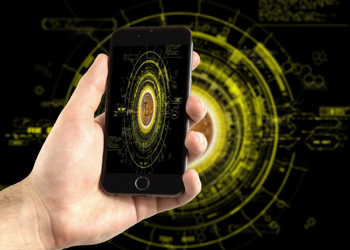 八例背后，岭南蚊声与一座城的免疫应答——疫情低回期的生命韧性刻度