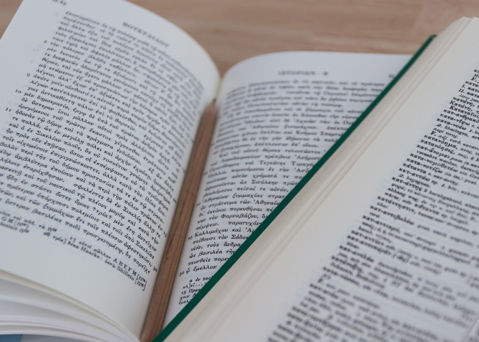 938例背后的坚守，疫情高发的朝阳区正以网格化韧性应对奥密克戎BF.7的多链并行