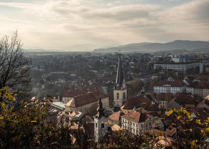 河南舞阳钢铁厂董事长(河南舞阳钢铁)