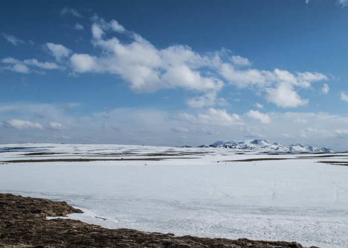 青岛新增9例核酸检测阳性病例(青岛累计报告251例阳性)