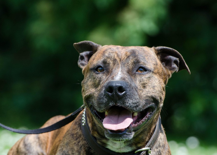 大连确诊学生轨迹（大连一病例致大学城共有81例病例—）