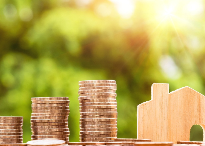 创业好项目邦科娱乐机，邦科科技有限公司