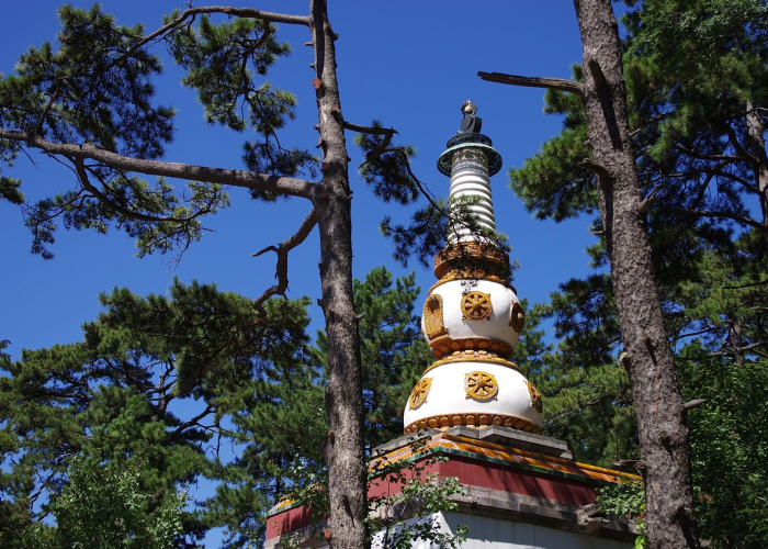 【胶的组词有哪些呢,胶的组词和拼音是什么】