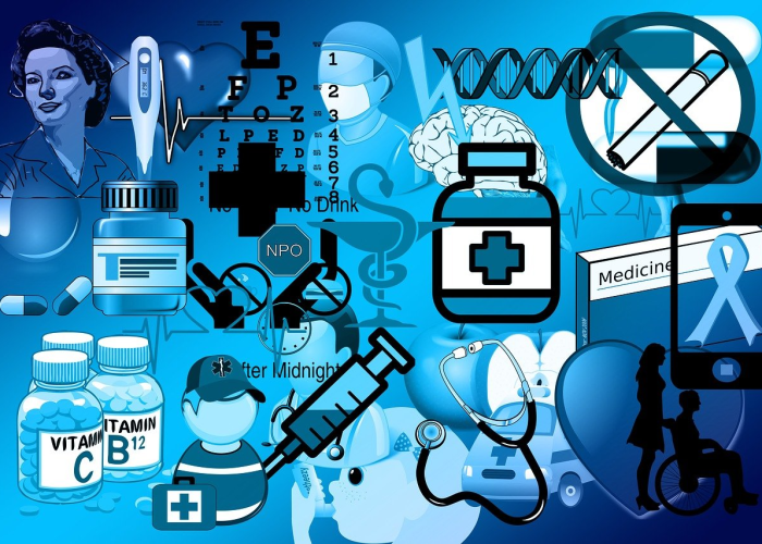 脱缰之马的成语解释，脱缰之马的意思和造句