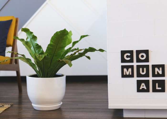 【平移的定义和旋转的定义是什么,平移与旋转的基本特征】