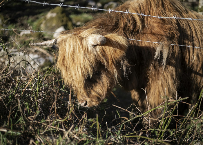 02459.HK(升能集团)