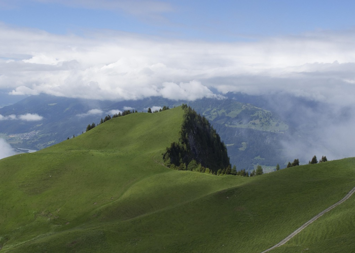 深圳新增两例新冠（深圳新增2例阳性感染者—）