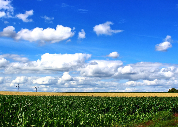新增病毒肺炎最新消息（新增肺炎—）