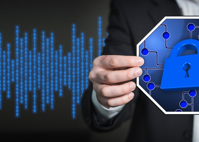 (茅亭什么意思解释)，茅亭的意思