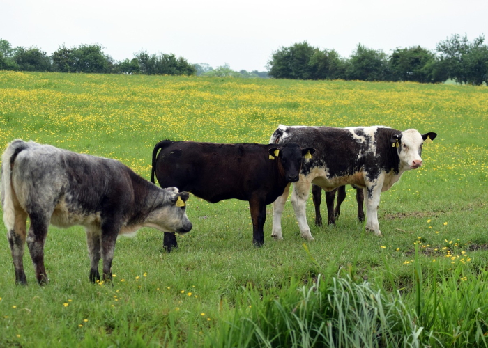 (无聊的时候干什么才有意义)，无聊的时候做什么有意义