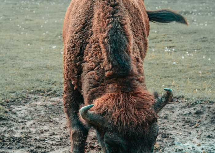 成都成华区疫情最新消息,成都成华区疫情最新情况
