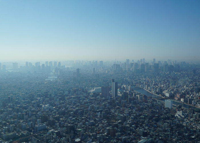 ↙️ 山东烟台发现1例治愈后复阳人员烟台复阳患者轨迹