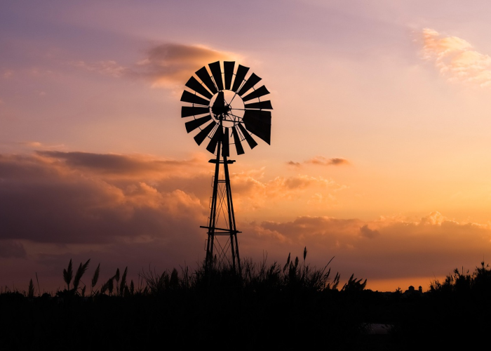 雷州疫情最新消息今天,雷州最近新冠情况