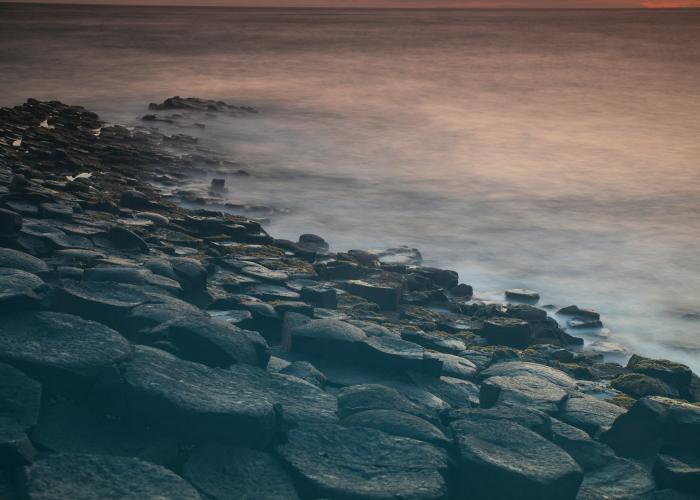 【催弦拂柱与君饮下一句,催弦拂柱与君欢】