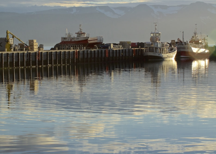阳光下的星星歌词，肖战阳光下的星星歌词