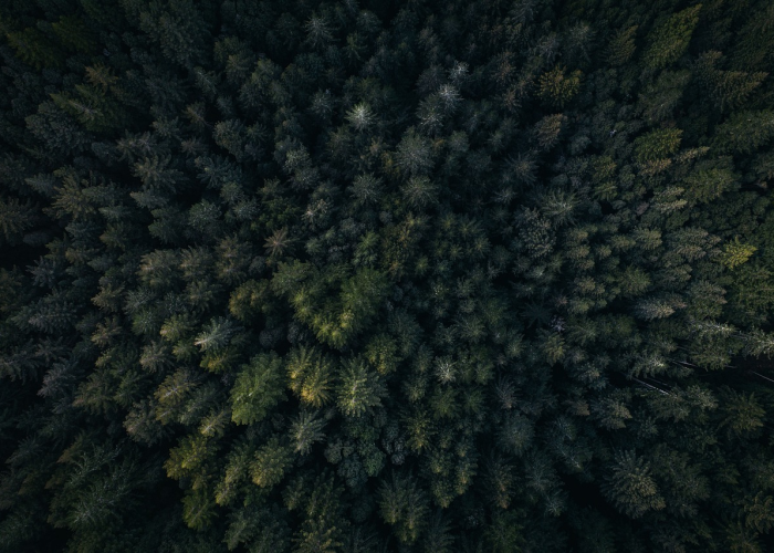 高盛：对冲基金遭AI软件抛售潮重创