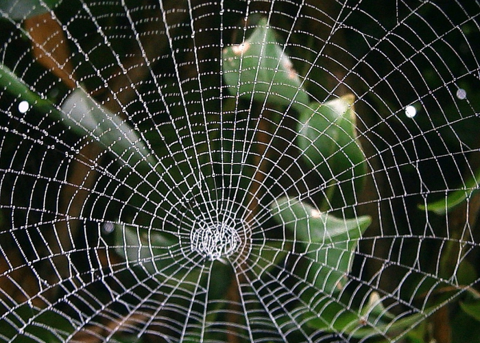 河南确诊病例·河南确诊病历详情