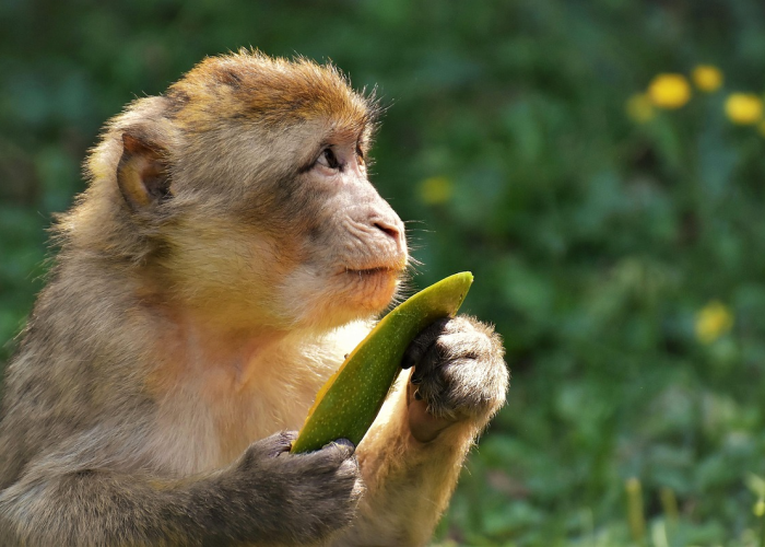 陕西省最新疫情通报,陕西省最新疫情新闻