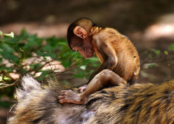非高风险地区需要隔离吗（非高风险区不得停工停产停业—）