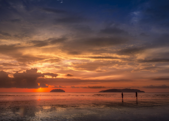 (信息洪流中的信任灯塔与治理温度)；上海疫情发布会