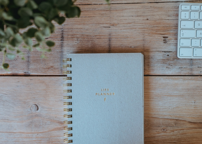 31省新增本土4例,31省新增本土31例