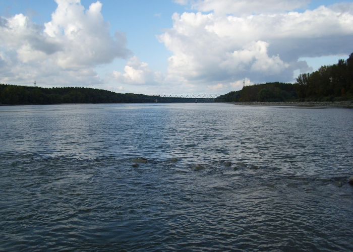 本轮疫情已涉及7省本轮疫情已波及7省