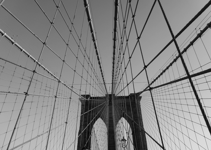 石家庄多名学生感染(石家庄新增1例确诊系学生)