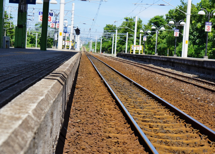 哈尔滨疫情最新新增病例(哈尔滨疫情最新消息今天新增)