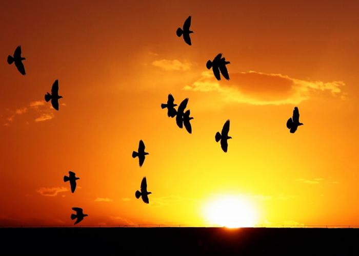 成都疫情最新通报今天(成都疫情最新消息今天新增了15例)