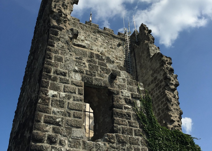 31省新增本土132例·31省新增本土106例