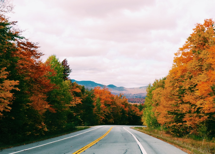 🌤️ 31省新增175例本土31省新增本土62例