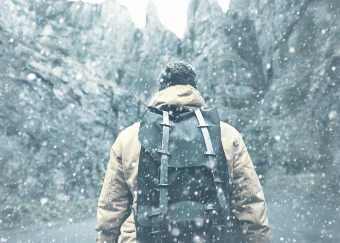 31省区市新增确诊15例含本土6例(31省区市新增确诊15例)