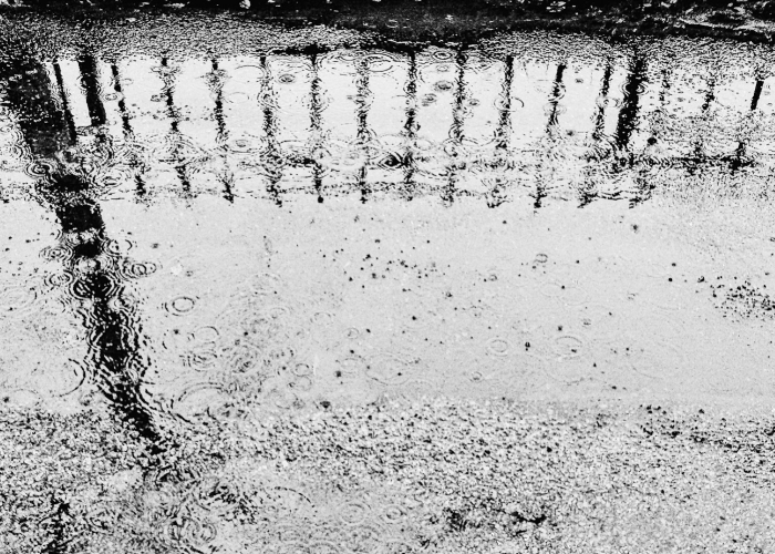 25万份检测、14天潜伏期与一座城市的共生：疫情下的时间博弈