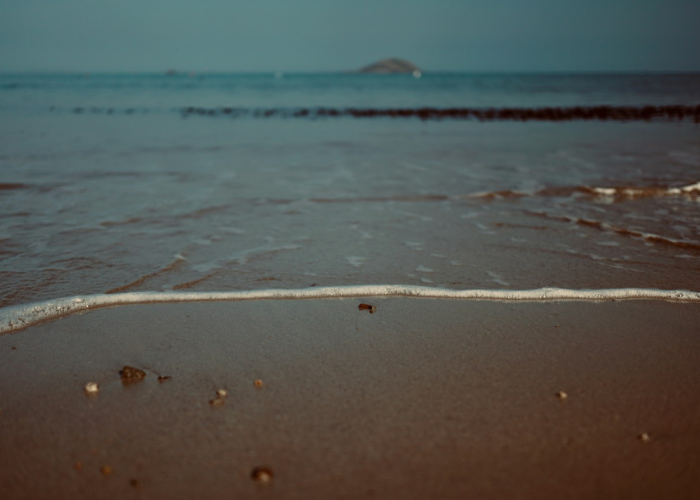 🔺 全球感染人数已超252万例：全球感染人数已超252万例是哪一年