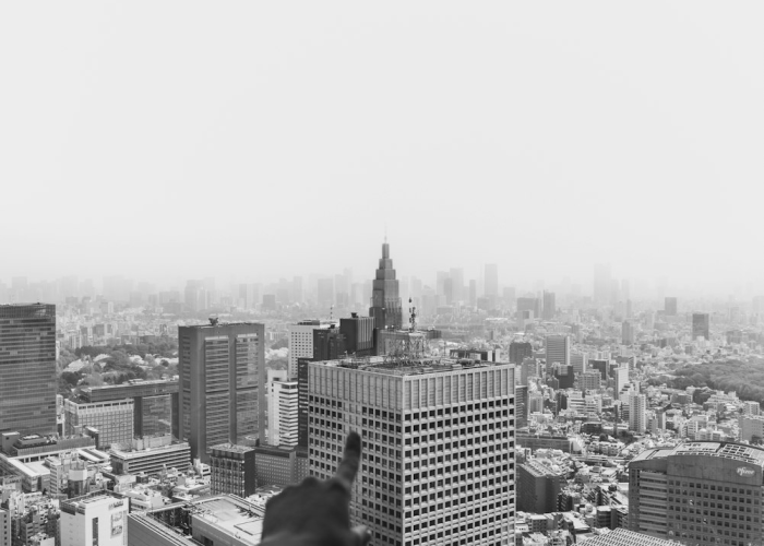 情趣的近义词是趣味吗，情趣的近义词有哪些