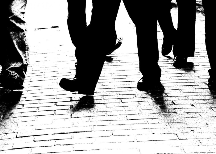 广东新增本土确诊31例深圳23例广东深圳确诊一例