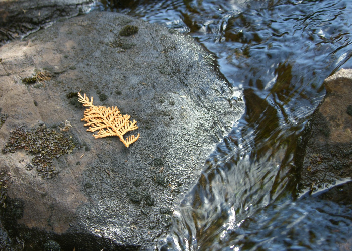 天津今日疫情报告天津今日疫情通报