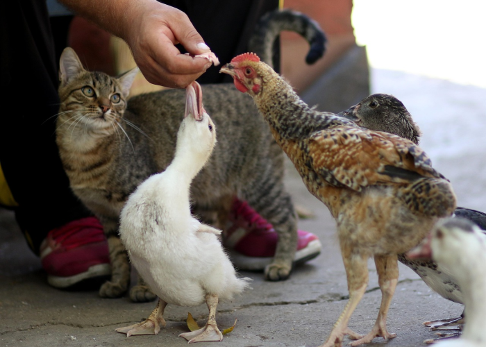 欢乐颂3演员表，欢乐颂3演员表全部